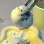 Yellow Chick Squishy  Toy