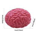 Brain Stress Relief & Sensory Therapy Squeeze Toy for Kids & Adults.