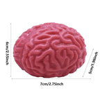 Brain Stress Relief & Sensory Therapy Squeeze Toy for Kids & Adults.