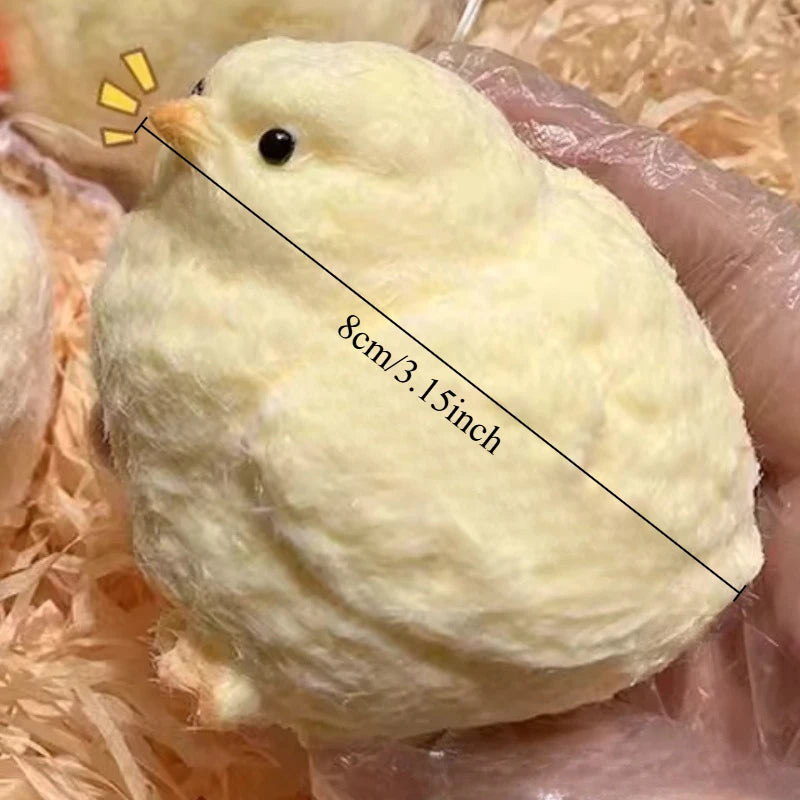 Yellow Chick Squishy  Toy