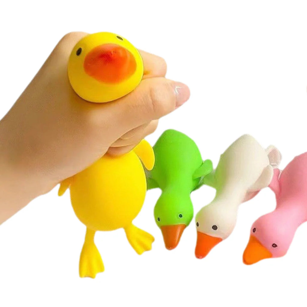 Squishy Duck