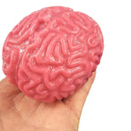 Brain Stress Relief & Sensory Therapy Squeeze Toy for Kids & Adults.