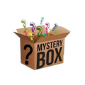 Surprise mystery box